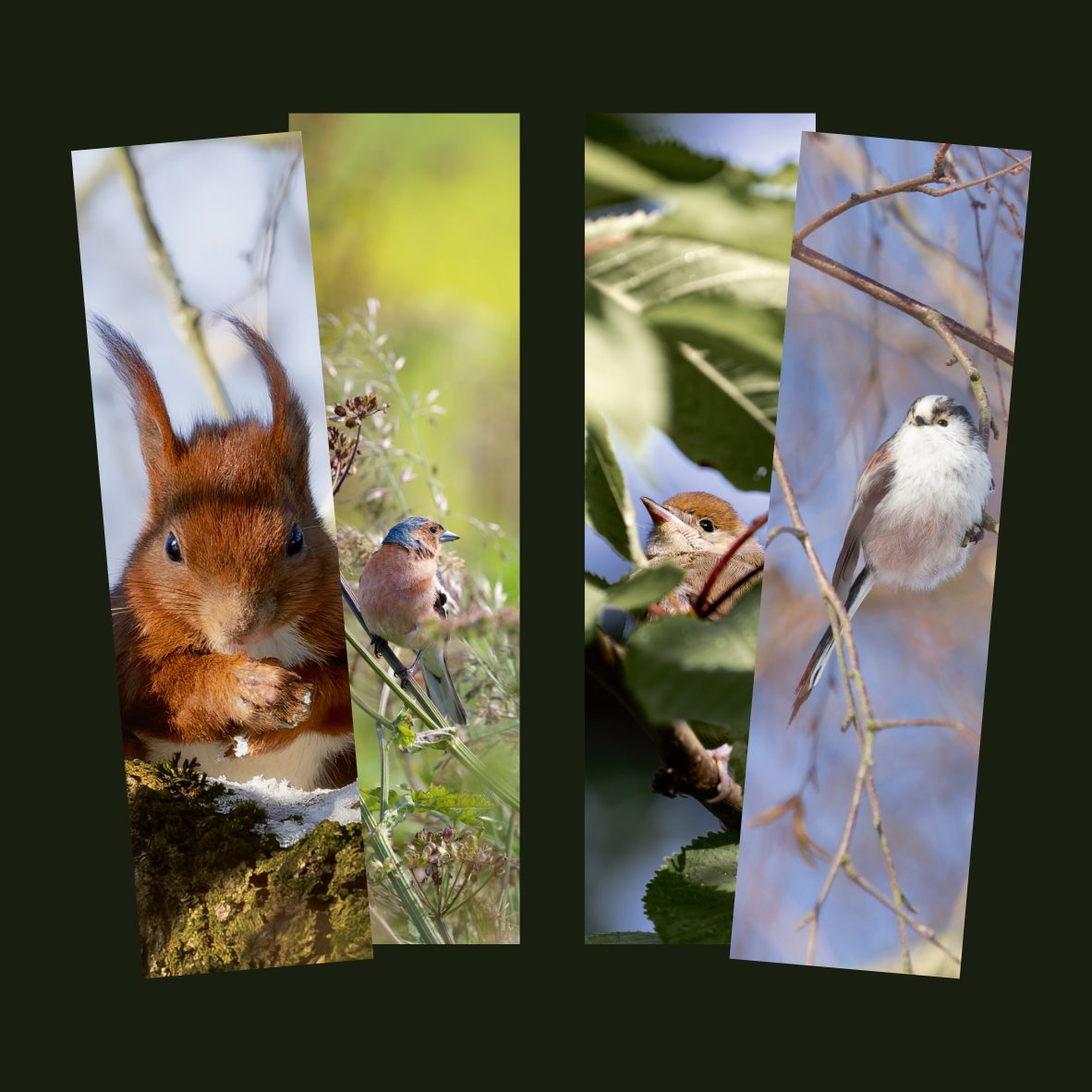 Lesezeichen mit Naturmotiven